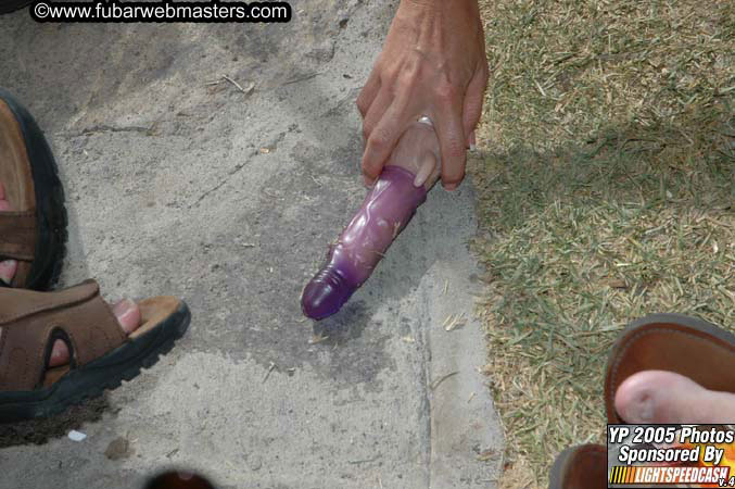 Saturday Afternoon Sex Show 2005