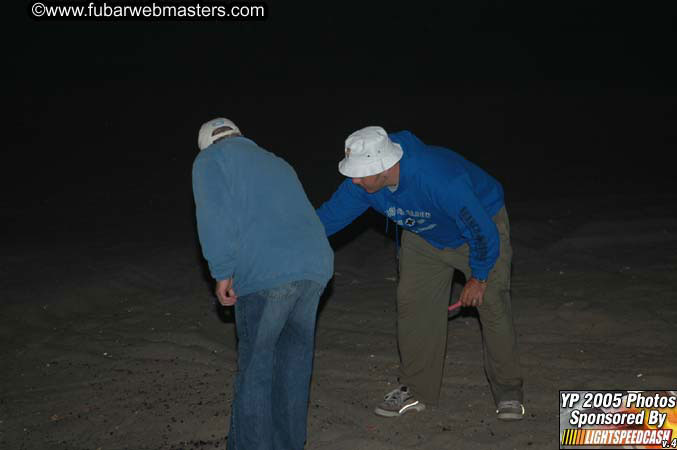 Farewell Bonfire  2005