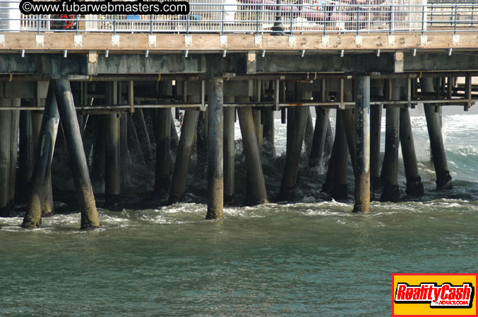 Santa Monica Beach & Pier 2004