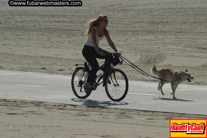 Santa Monica Beach & Pier 2004
