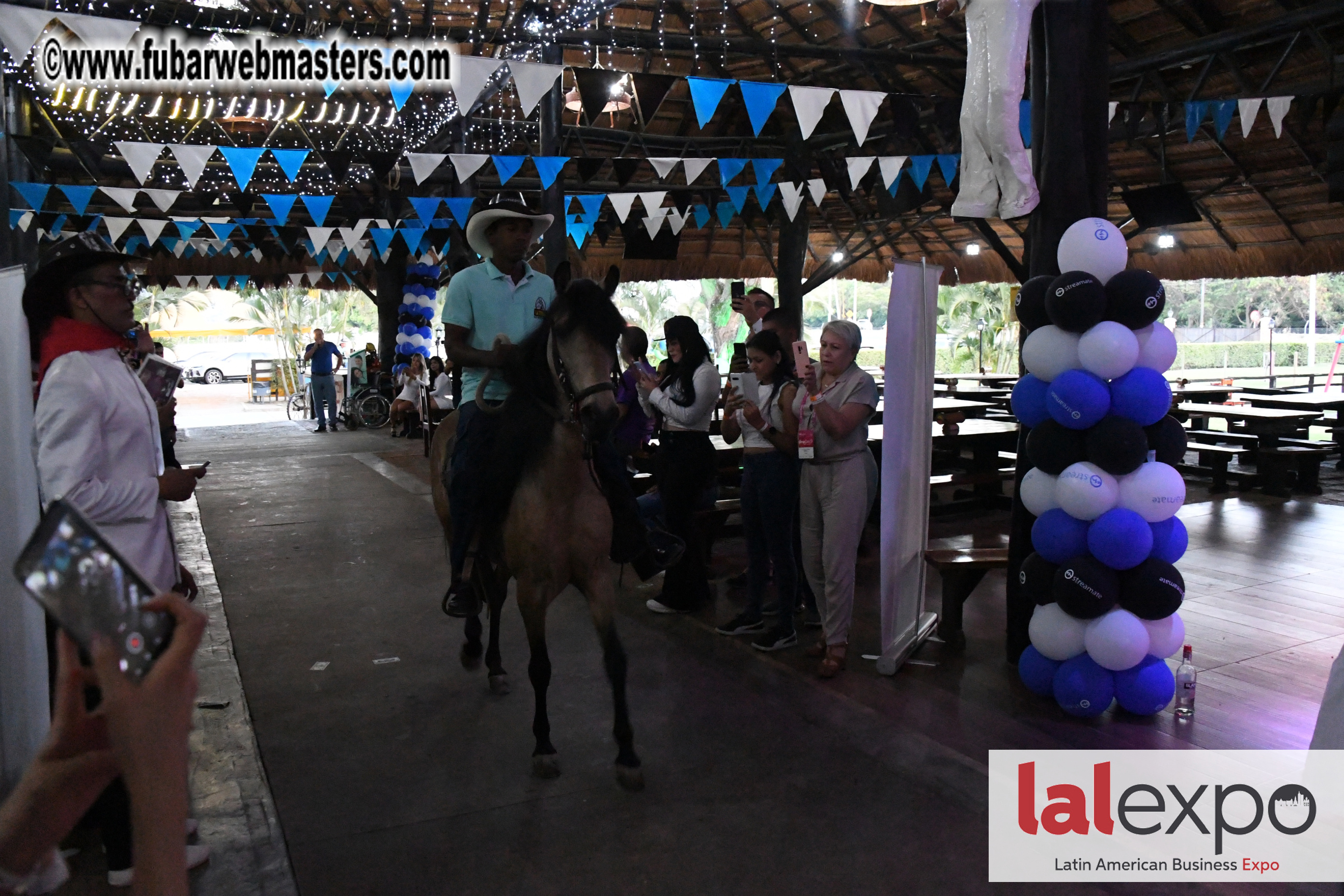Streamate BBQ Party