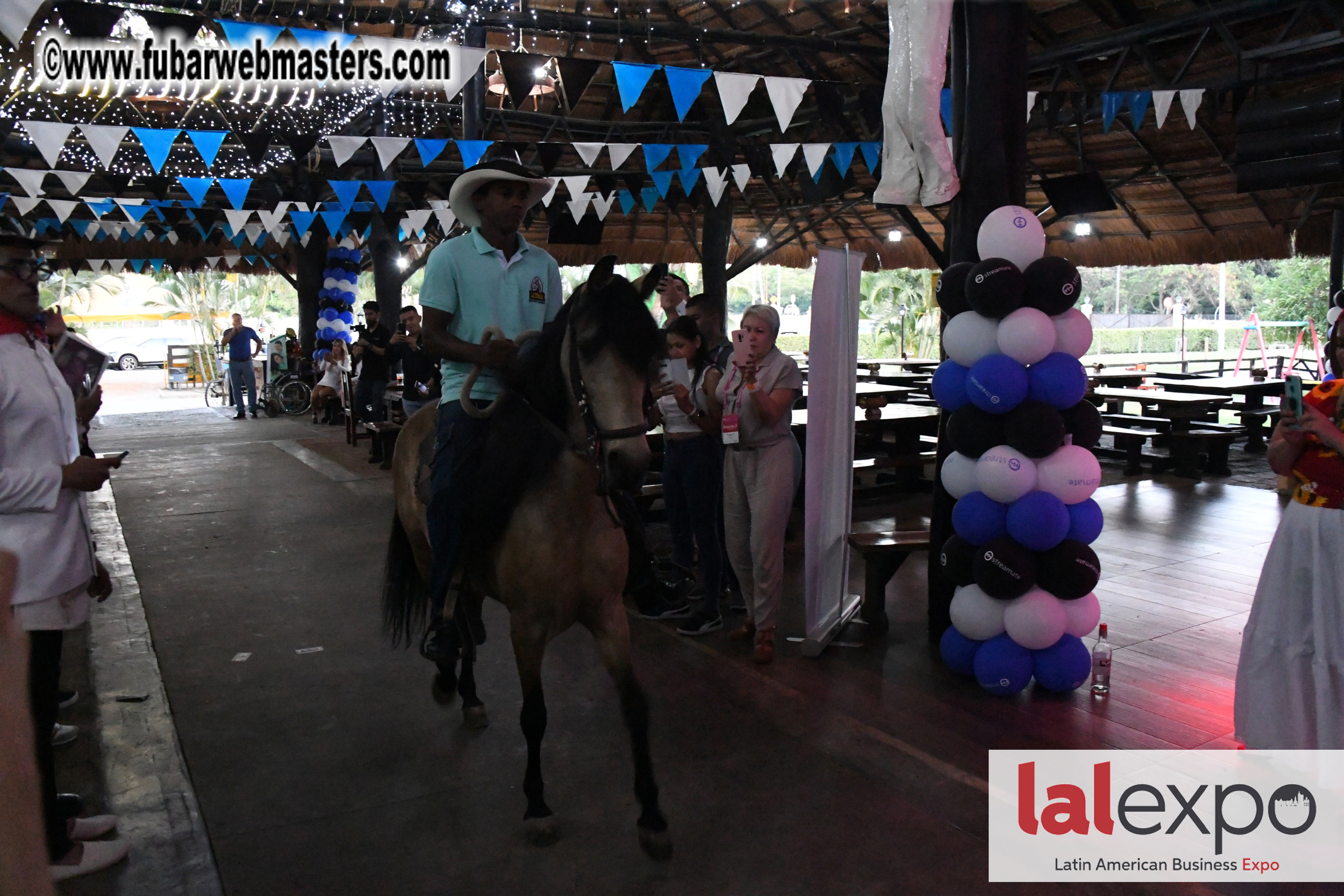 Streamate BBQ Party